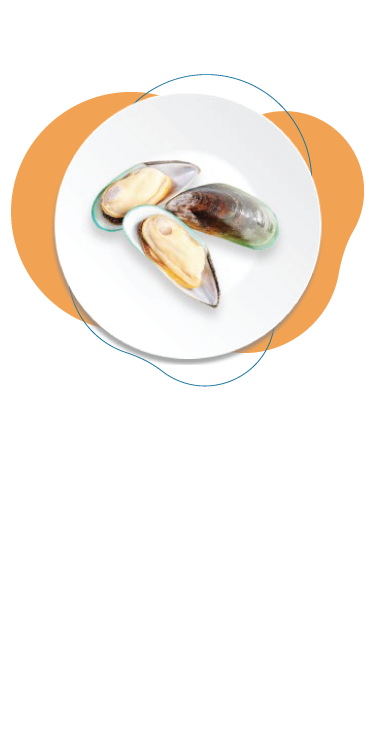 Mussel