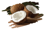 Coconut