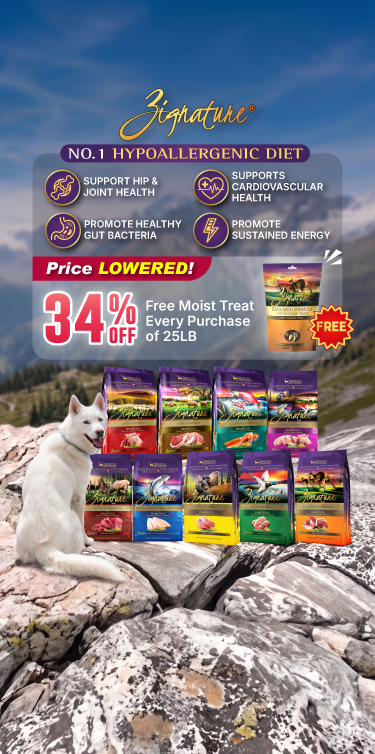Promotion mobile